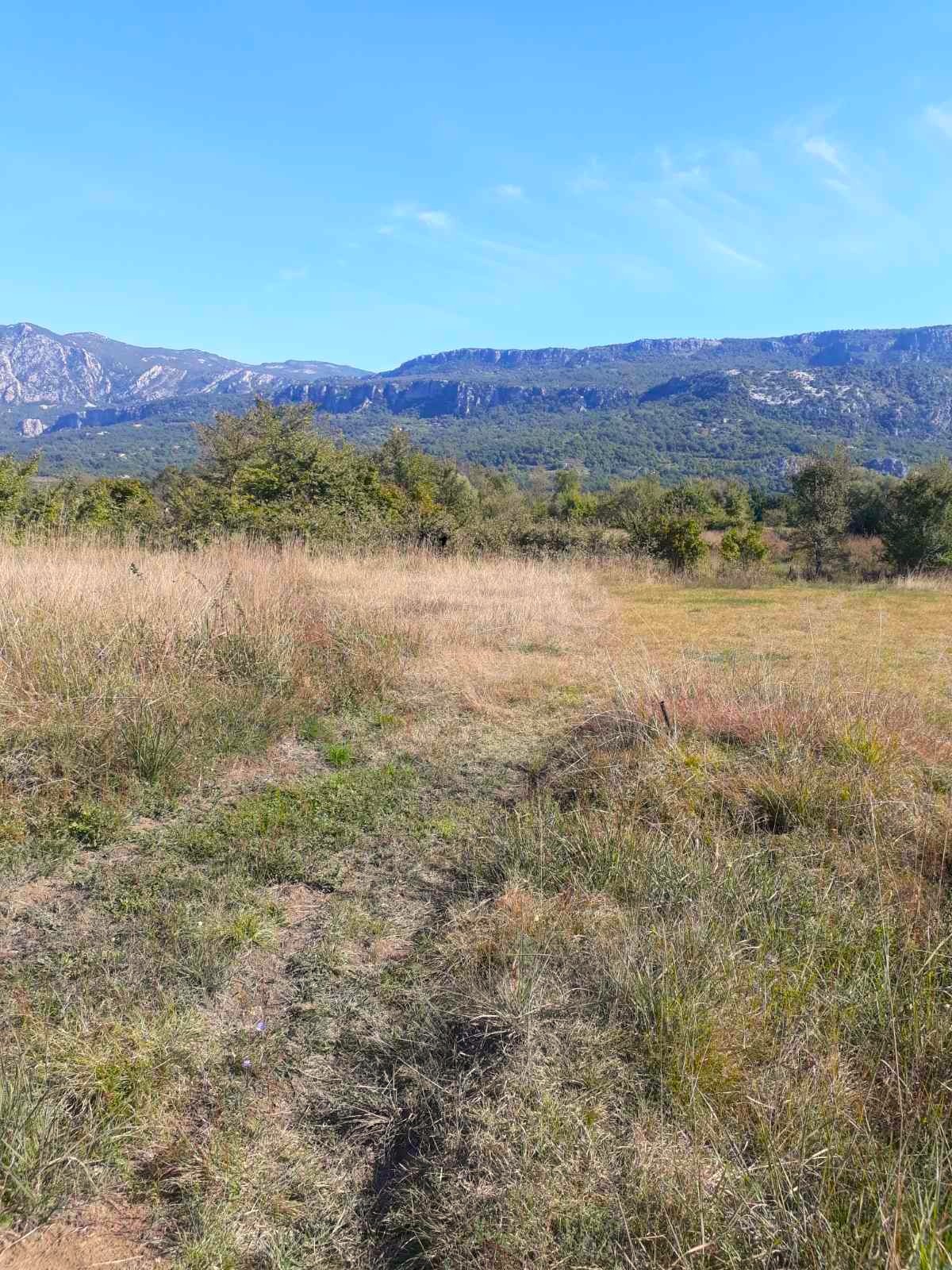 Plot 4200 m2 for sale in Spuz, Danilovgrad. 