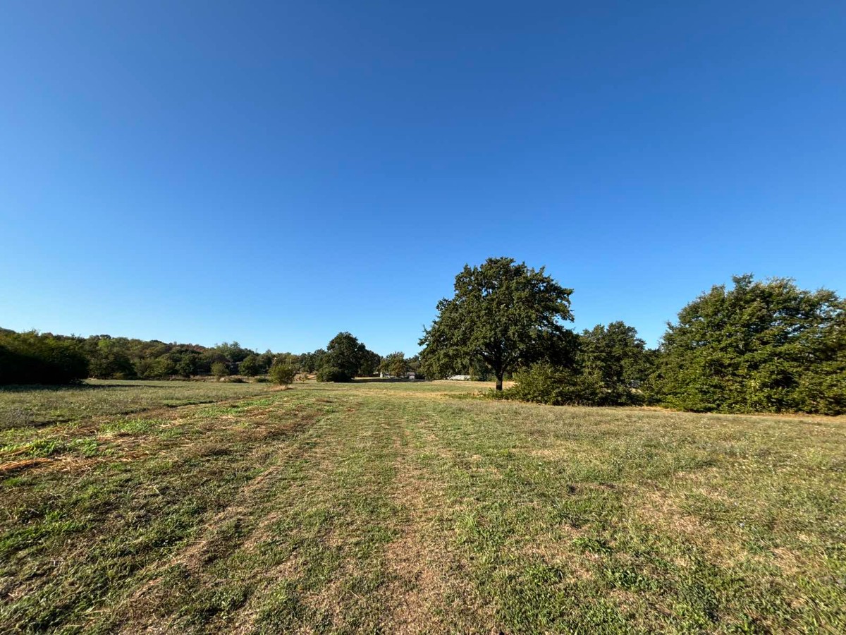 Land for sale in Spuž/Novi Selo, Danilovgrad. 