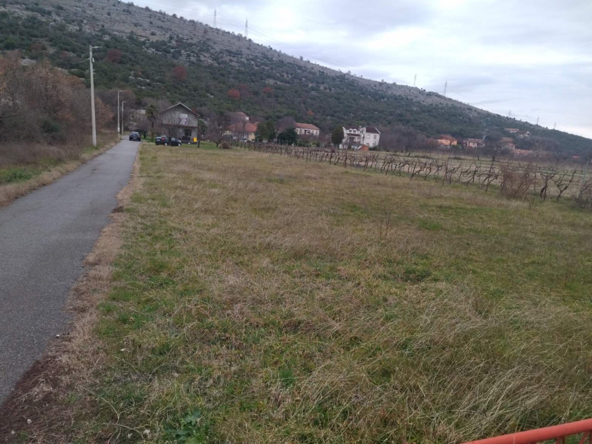 Prodaje se plac u Tološima , Podgorica 